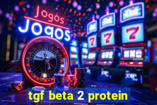 tgf beta 2 protein